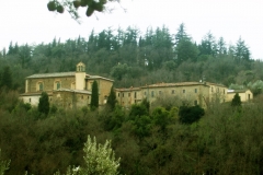 The Sargiano Monastery surrounded by the woods